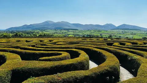 Castlewellan Peace Maze, green hedges in a maze pattern, with mountains visible in the background. It is a bright, sunny day with clear blue sky.
