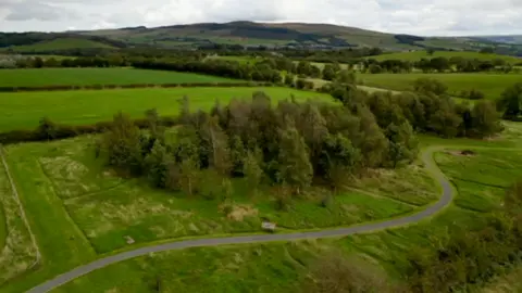 Aerial view of green fields. In a nearby field is a small group of trees with a winding tarmac path in front of it.