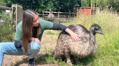 Brockswood Animal Sanctuary A young woman with brown hair kneels next to an emu which she strokes in a field. Another emu is visible behind her
