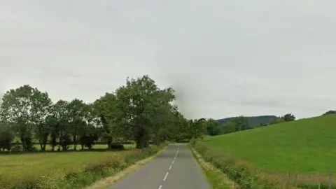 An empty road in the countryside. There are fields of grass on either side with trees in the left field. The sky above is cloudy. 