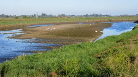 Tudur Davies The river Clwyd at Rhuddlan running low. Birds are sat on a large dry patch of earth in the middle of the river.