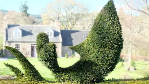 Honest Communications Hedge design from David Hawson, winner of the the Home Gardener category at the Henchman's Topiary Awards