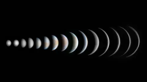 Roger Hutchinson  A composite of Venus's faces