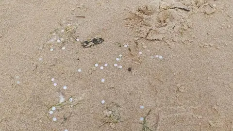 Sunderland City Council A small amount of of nurdles lie in the sand at Seaburn beach. 