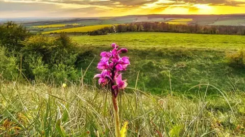 Joanna Kaczorowska Wide view of Trundle Hill with the sun breaking through the clouds 