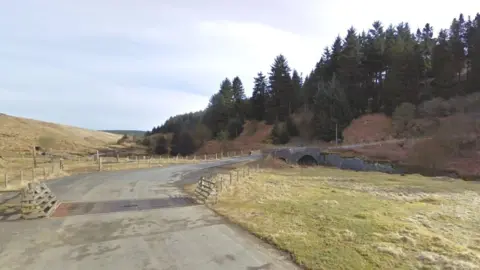 Google border cattle grid