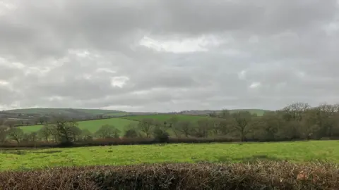 Green fields and hedgerows 