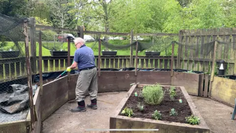 A man gardening at Lowry Court in Belfast. He is raking raised flowerbeds. There are grass and trees in the distance.