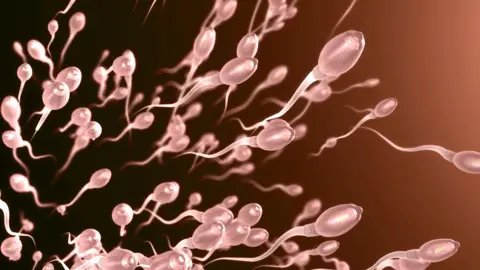 Stock image of translucent white sperm swimming against a darkish red background