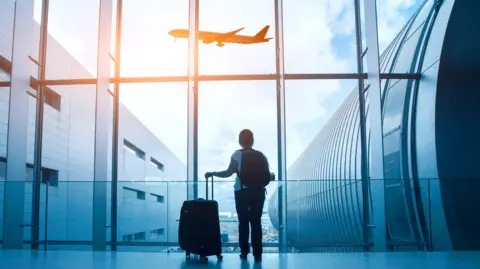 A woman with luggage stands with her back to the camera looking at a plane through a window. 