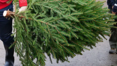 A cropped image of a man in a Christmas jumper carrying a Christmas tree sawn-off at its trunk.