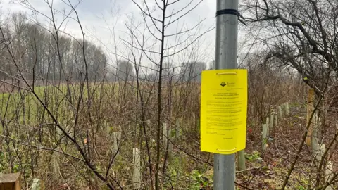 A yellow planning notice attached to a lampost in front of a field in the Riverside Valley Park