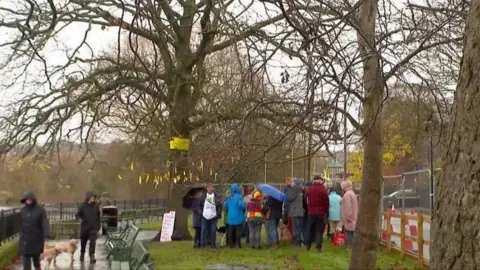 A cluster of people crowd around a tree.