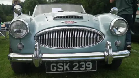 A mint-green classic Austin-Healey 3000 is shown from the front, parked on grass at an outdoor vehicle show with its wide grille, chrome bumpers and round headlights gleaming under overcast skies.