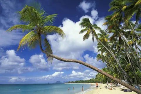 Getty Images Grande Anse des Salines, Martinique, file pic