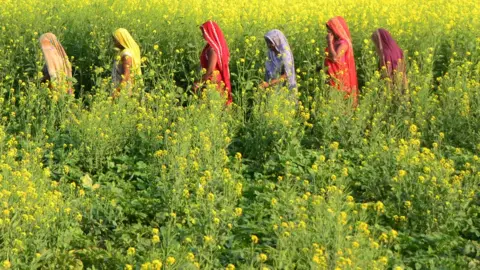 Getty Images Women in field in Uttar Pradesh