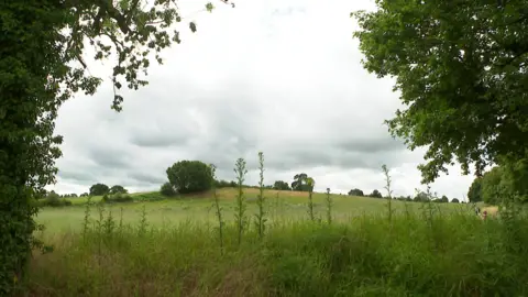 A field is prominent in the image, with a tree on the far left and far right of the photo. Other trees are in the background.