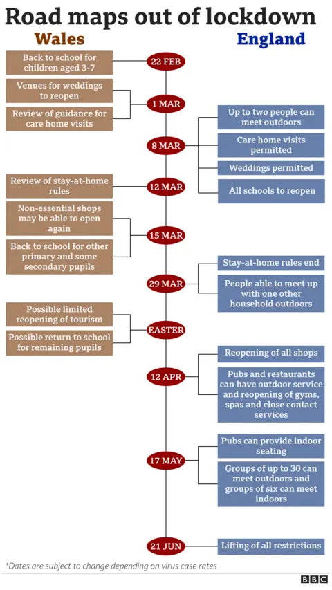 Graphic showing the difference between England and Wales' roadmaps