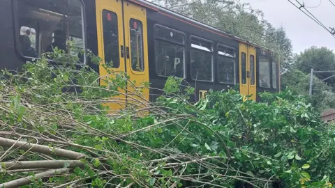 Tree on the Metro line