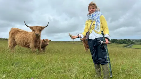 BBC A lady stood in a grassy field alongside three Highland cows. She is dressed in a yellow cardigan, a blue scarf, navy trousers and green wellington boots. She is holding grass in one hand and a piece of fencing in the other. There is more fields in the background and a small lane in the distance.