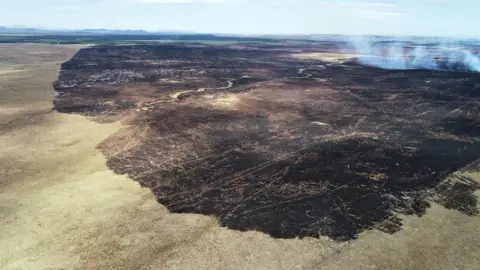 PAul Turner Fire_Damage_Uair_2019_Aerial Credit Paul Turner.jpg