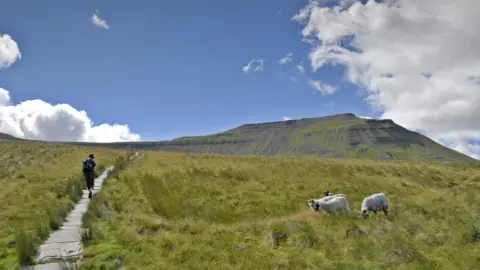 Getty Images Walker approaches Ingleborough