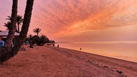 Tharik Hussain Umluj beach at sunset with pink sky and palm trees