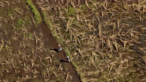 Reuters Women walk past flattened crops near John Segredo north of Beira, Mozambique, in the aftermath of Cyclone Idai, March 24, 2019