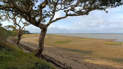 Jen MONDAY - Hayling Island