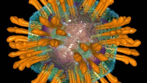 Science Photo Library Hepatitis C virus