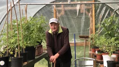 Old vicarage Bill Gosson in a greenhouse surrounded by tomato plants