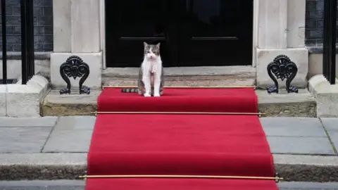 PA Larry the cat sits on the red carpet outside the black door of 10 Downing Street