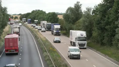 A view of a dual carriageway with a central barrier separating traffic moving in opposite directions. Dense green trees and bushes line both sides of the road, and the sky above is overcast with grey clouds.