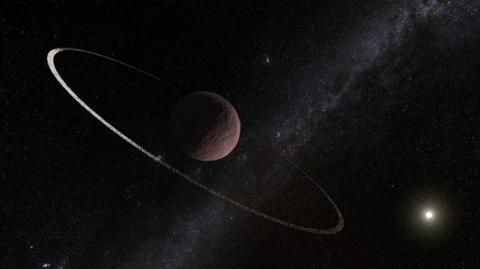 Artist impression of the rings