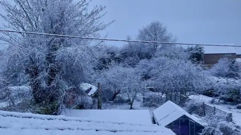 Jane Williams A view across several back gardens which have been buried in snow