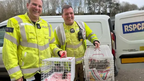 Two men holding white animal cages with two ducklings and a duck inside.