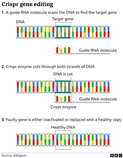 Crispr gene editing graphic