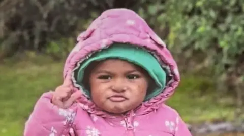 A toddler wearing a pink coat with the hood up. 