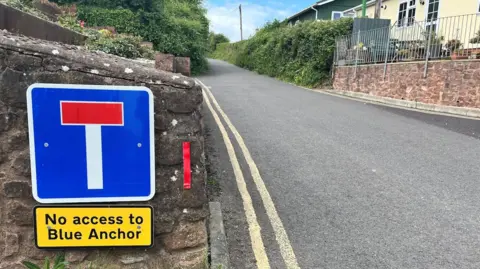 A road flanked by houses and trees leading to the background of the picture. A sign in the foreground says 'no access to Blue Anchor'.