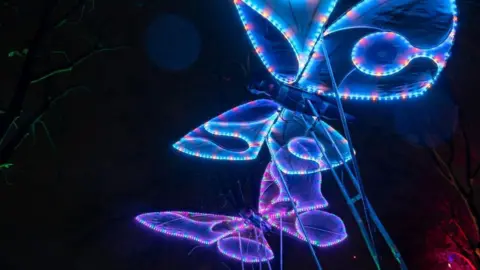 Lights showing a butterfly effect. They are mainly blue at the top, with a butterfly effect at the bottom being largely purple. 