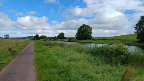 LDRS The picture shows King's Sedgemoor Drain. There is a towpath to the left of the picture, a greenbank in the middle and water to the right of the picture. There are trees in the background.