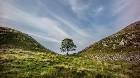 Getty Images A wide landscape image of Sycamore Gap with a young boy at Hadrians Wall before it was cut down.