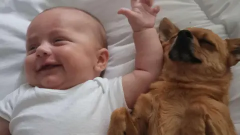 Evie Ecclestone A baby and a dog lie side by side on white bed linen. The baby is wearing a white babygrow.