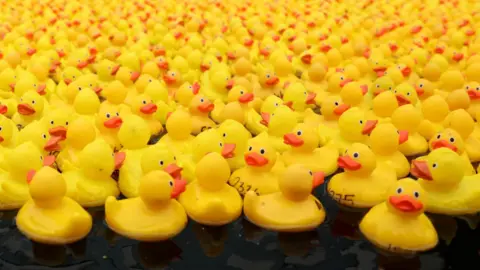 Reuters Dozens of closely packed yellow rubber ducks float in a pond.