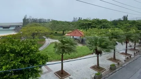 Trees sway in strong winds as Typhoon Dolphin approaches, in Naha, Okinawa Prefecture, Japan, August 7, 2026, in this screengrab obtained from a social media video.