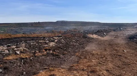 A burnt field after wildfire spread throughout the common. The ground is brown, with yellow grass and mud. The sky is bright blue. 