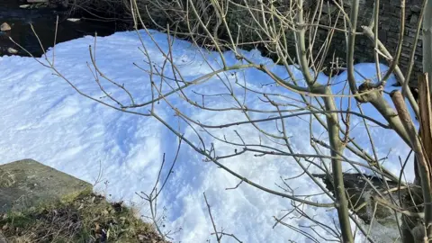 Environment Agency Foam on River Bollin