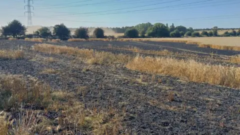 Essex County Fire and Rescue Service Crop field after a fire