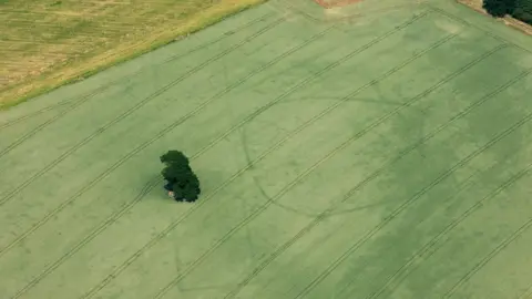 Historic England/Damian Grady Neolithic cursus and Iron Age enclosure at Sherbourne, Warwickshire