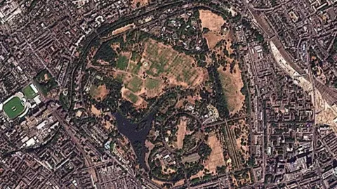 Planet Labs PBC / Reuters A satellite image of Regent's Park showing it as yellow.
